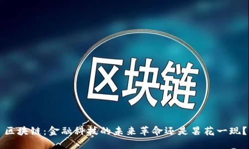区块链：金融科技的未来革命还是昙花一现？