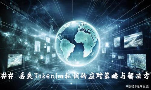 ### 丢失Tokenim私钥的应对策略与解决方案