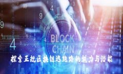 探索正规区块链逃跑路的魅力与潜能