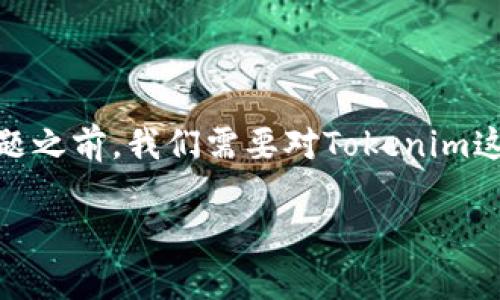 在探讨“tokenim恢复身份后为什么没有资产”这个问题之前，我们需要对Tokenim这一概念进行一些背景介绍，以及相关技术和政策框架。

### Tokenim恢复身份后资产消失的原因深度解析