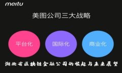 湖北省区块链金融公司的崛起与未来展望