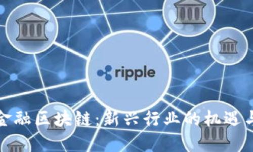 数字金融区块链：新兴行业的机遇与挑战