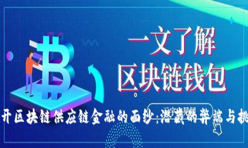 揭开区块链供应链金融的面纱：潜藏的弊端与挑战