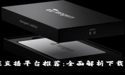 区块链游戏直播平台推荐：全面解析下载与使用指南