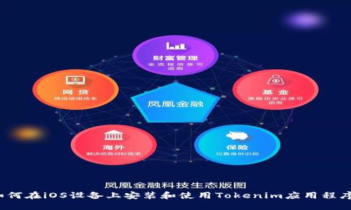如何在iOS设备上安装和使用Tokenim应用程序？
