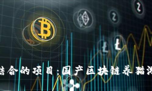 创新与趣味结合的项目：国产区块链养猫游戏公司崛起