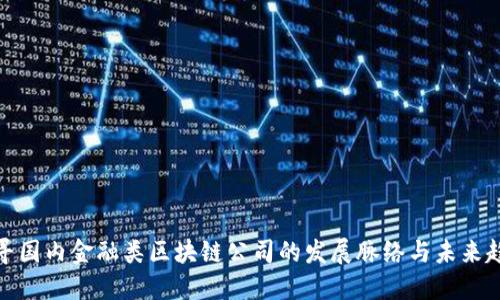 探寻国内金融类区块链公司的发展脉络与未来趋势