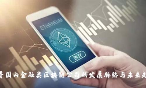 探寻国内金融类区块链公司的发展脉络与未来趋势