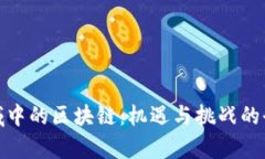 金融领域中的区块链：机遇与挑战的全面分析