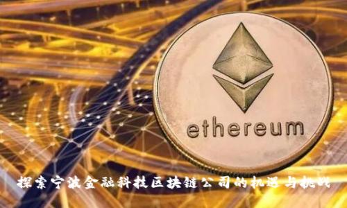探索宁波金融科技区块链公司的机遇与挑战